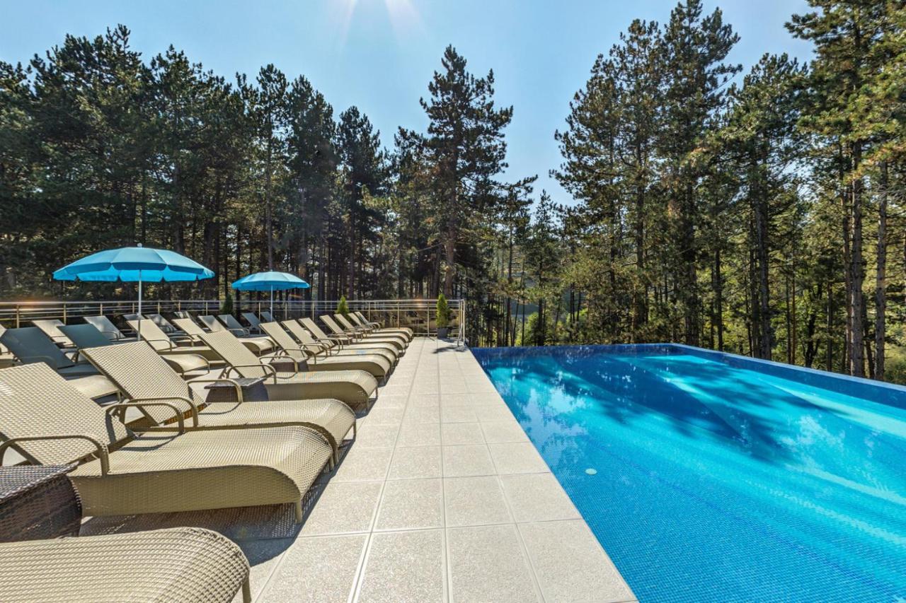Villa Dea & Villa Ina - Villas & Spa Park In Velingrad Extérieur photo